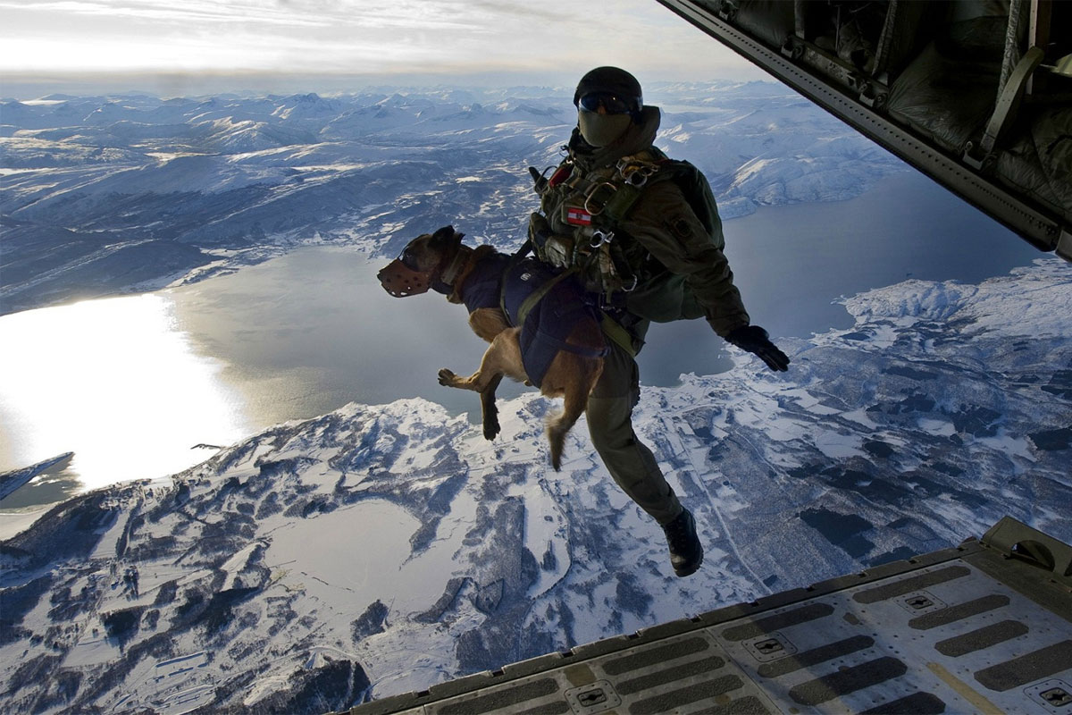 Options To Become A Navy SEAL Military