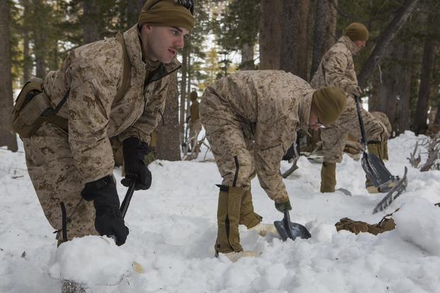 U.S. Marines with Combat Logistics Battalion 26, 2nd Marine Logistics Group, dig their bivouac sites, using the snow for cover, at the U.S. Marine Corps Mountain Warfare Training Center (MWTC) Bridgeport, Calif., Jan. 20, 2015. (U.S. Marine Corps/Sgt. Anthony L. Ortiz)