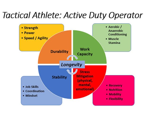 Active Duty Fitness Chart (Stew Smith)