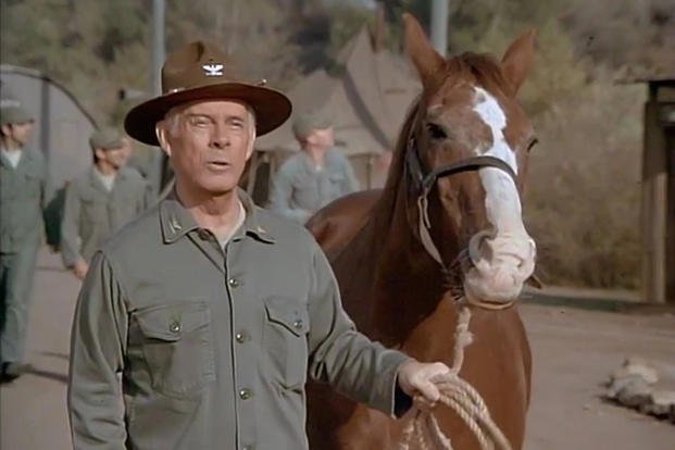 It makes me happy that Sophie went to a good home after the war. (CBS) It makes me happy that Sophie went to a good home after the war.