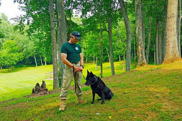 Global Dynamic Security trains dogs to use their natural hunting instincts to find bomb odors more quickly than conventionally trained and operated bomb-sniffing dogs. Photo courtesy of Global Dynamic Security