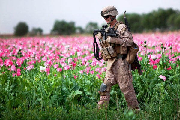 A recent report says the Taliban is winning the drug war in Afghanistan despite U.S. troops' efforts to eradicate poppy fields.