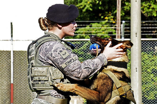 U.S. Air Force Senior Airman Alyssa Stamps plays with her dog, Elvis, at Misawa Air Base, Japan. Stamps and Elvis were training to become a certified military working dog team. (U.S. Air Force/A1C Jordyn Fetter)
