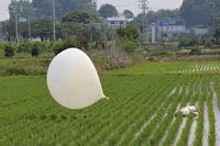 A balloon presumably sent by North Korea, is seen in a paddy field in Incheon, South Korea