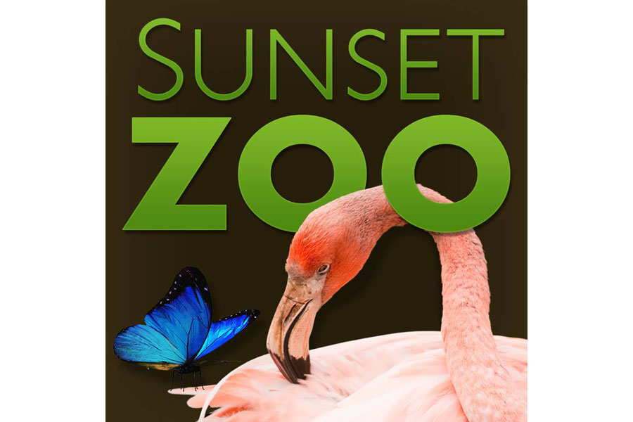 Sunset Zoo