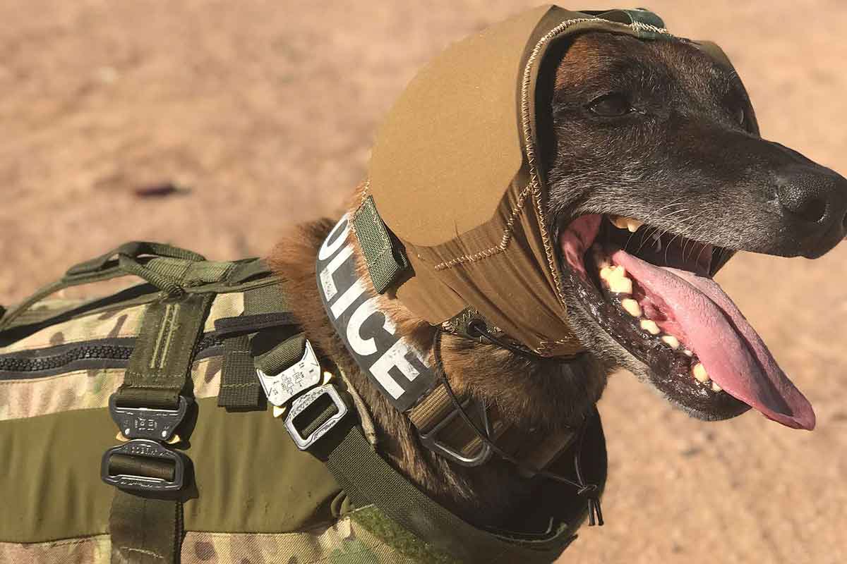 military dog muzzle