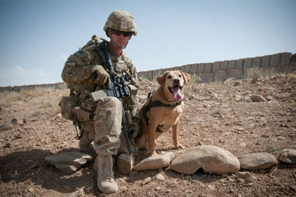 K-9 Teams Help IED Fight in Afghanistan | Military.com