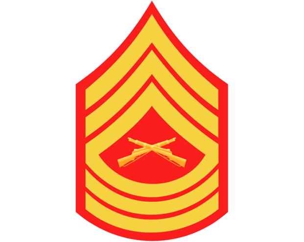 Ranks In The Marines | Enlisted And Officers Ranks Described! - For The ...