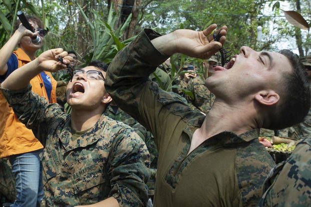 Marines with Battalion Landing Team, 1st Battalion, 4th Marines, eat live scorpions during jungle survival training, Exercise Cobra Gold 19, Camp Ban Chan Khrem, Khao Khitchakut District, Thailand, Feb. 15, 2019. (Tanner Lambert/Marine Corps)