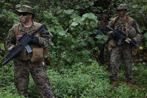 Marines make their way through the Guam jungle March 19, 2013 on NCTS during field training exercises during Guahan Shield. (U.S. Marine Corps photo/Pete Sanders)