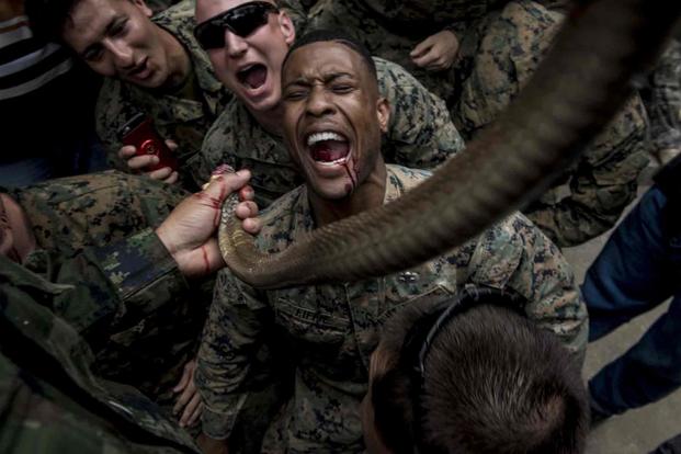 A U.S. Marine drinks cobra blood during jungle survival training.