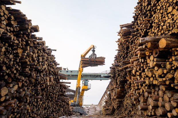 A worker does a logging task
