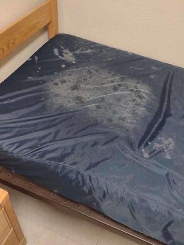 Mold on a Fort Stewart barracks bed.