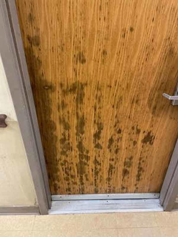 Mold on a Fort Stewart barracks door.