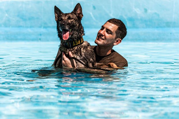 Military Working Dog and its handler from the 820th Base Defense Group, 93rd Air Ground Operations Wing