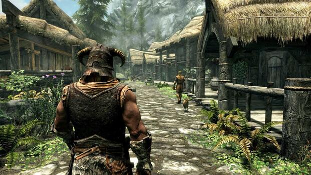 The Elder Scrolls 5 Skyrim - The Dragonborn arrives at a village