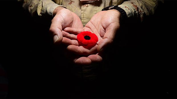 This Memorial Day, Wear a Poppy