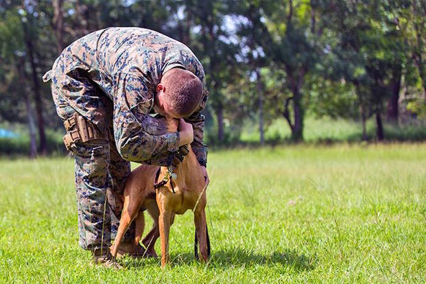 The love between handler and dog is deep and like no other. (Photo courtesy of Stew)