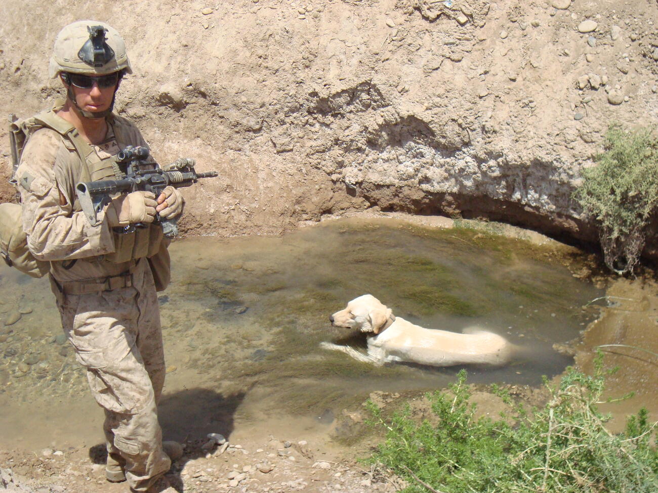 Wounded K9 Handler Overcame Near-Fatal IED Blast, Found Faith to Help Others
