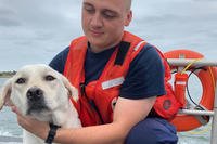 Seaman Tristan Beatty comforts a dog after the boat he was in capsized near Cedar Beach, New York, Oct. 6, 2018. The dog, along with a 47-year-old man and a boy were rescued by a boatcrew from Station Fire Island. (U.S. Coast Guard photo courtesy of Station Fire Island)