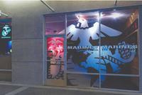 The eagle, globe and anchor emblem is displayed in the front windows of a U.S. Marine recruiting station.