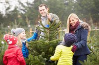 family cutting down a christmas tree