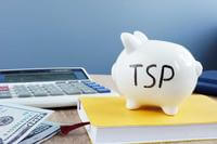 Piggy bank with letters &quot;TSP&quot; on in symbolizing the Thrift Savings Plan