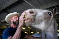 Marine veteran works with one of his favorite horses, Huckelberry.