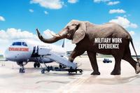 elephant with words: Military Work Experience