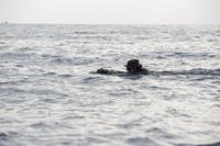U.S. Navy Petty Officer 2nd Class Mauricio Varonmoncayo swims 2,500 meters in open water at Kin Blue, Okinawa, Japan.
