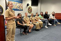 Cmdr. Chantel Charais shares her personal story during a Navy Medicine Readiness and Training Command Jacksonville Diversity Committee meeting in Florida.