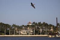 Former President Donald Trump's Mar-a-Lago resort