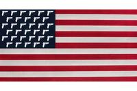 Illustration of American flag with pistols