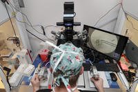 Aspire Houston Fertility Institute in vitro fertilization lab
