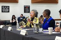 Dr. Sheila Elliott, a pharmacist at the Hampton VA Medical Center for 35 years and president of AFGE Local 2328, speaks