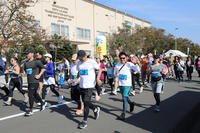 Runners take off at the start of the Yokohama North Dock Running Festival, held Nov. 4 on the installation at U.S. Army Garrison-Japan. The event, which returned to the installation for the first time in four years, drew nearly 1,000 competitors for its 5K, 10K and half-marathon races.