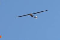 Army Working on Drones that will Change Shape Mid-Flight