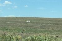 The Thunderbirds aircraft that crashed in a field near the Air Force Academy in Colorado Springs, Colorado. (Photo courtesy Cece Beynon.)