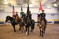 NYPD mounted police (NYPD photo)