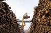 A worker does a logging task