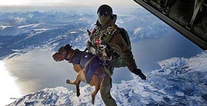 Dog Soldiers | Military.com